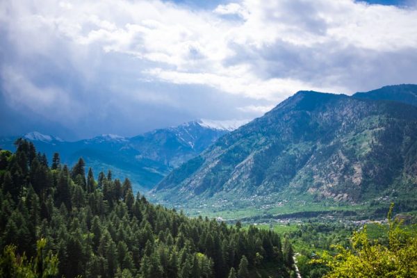 Breathtaking view of Manali's lush mountains with towering pine trees under a cloudy sky.