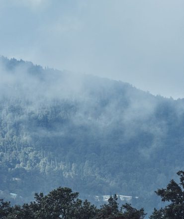 Serene misty view of forested mountains in Manali, Himachal Pradesh, India.