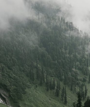 A scenic misty mountain view with lush forests and a waterfall, perfect for nature lovers.