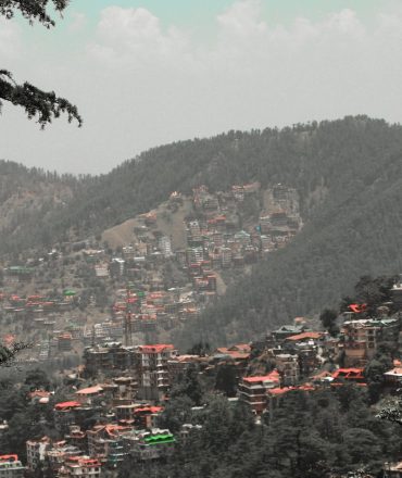 Capture of Shimla's vibrant landscape with hills and dense buildings.