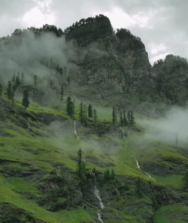 A serene view of a mist-covered mountain in Manali, India, showcasing lush greenery and trees.